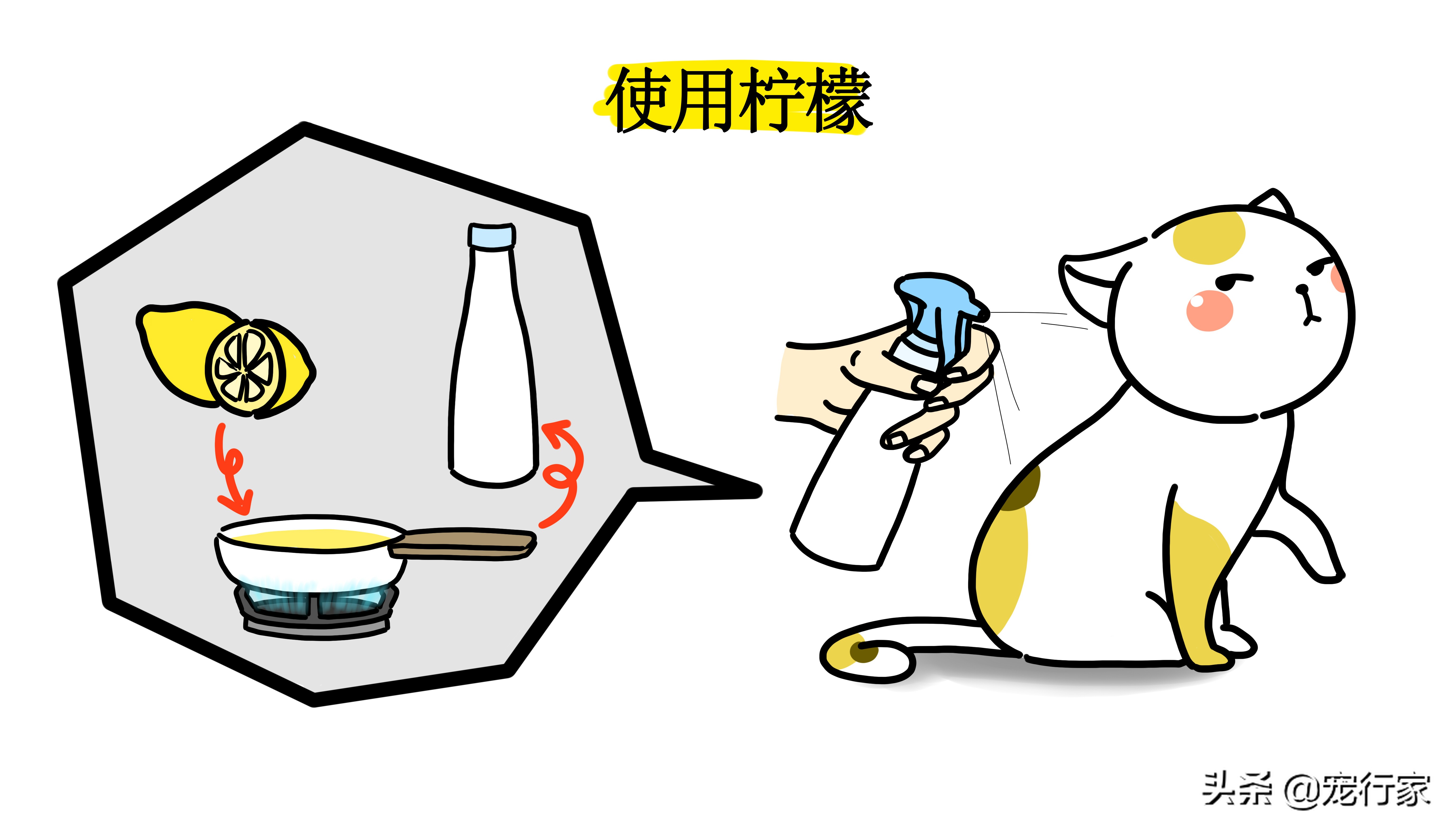 家里猫有跳蚤做了驱虫之后怎么办,当被跳蚤咬了该怎么办