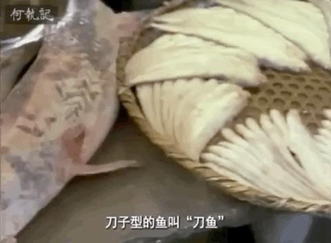 日本人看舌尖上的中国,韩国人看中国纪录片舌尖上的中国