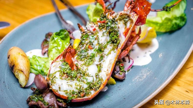 加拿大多伦多生活日记,加拿大多伦多留学生活纪实