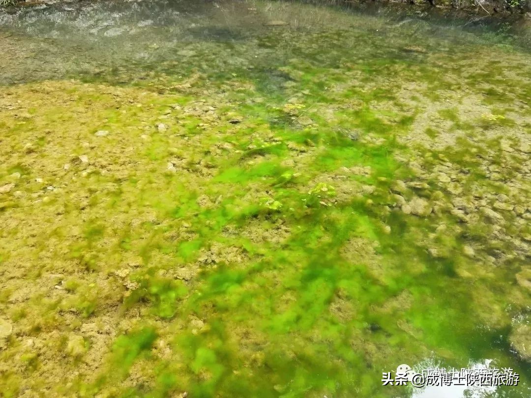 陕南最灵的峡谷,陕南金丝大峡谷