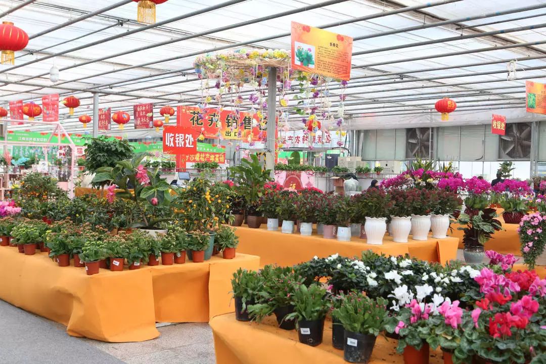 长春农博会游玩攻略,过年看农博会