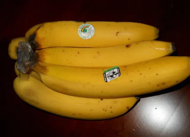 应季水果蔬菜时间表官方,一年四季的应季水果蔬菜有哪些呢