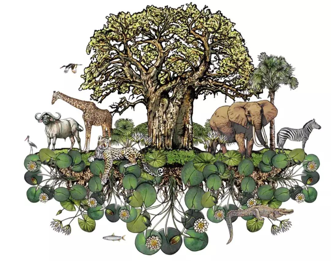 2022年最贵的10家酒店,2020最值得期待的15家酒店