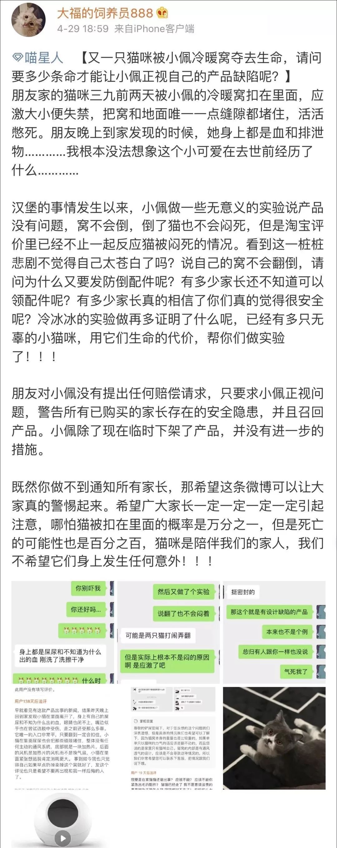 小佩闷死猫事件,小佩猫窝闷死猫