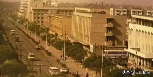 *疆新**库尔勒彻底火了！登上央视让世界瞩目，为库尔勒而骄傲