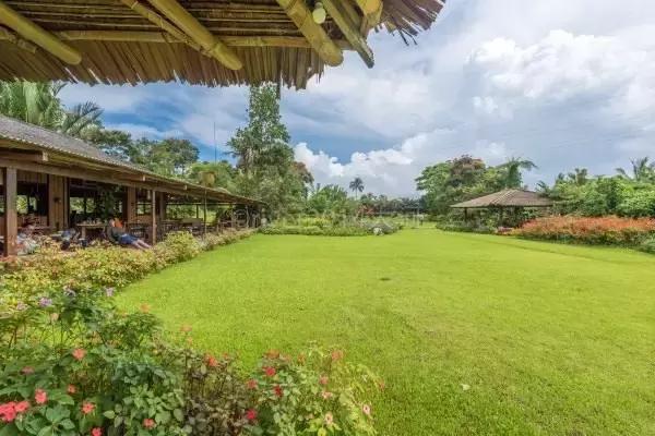 巴厘岛攻略春节,巴厘岛攻略2天