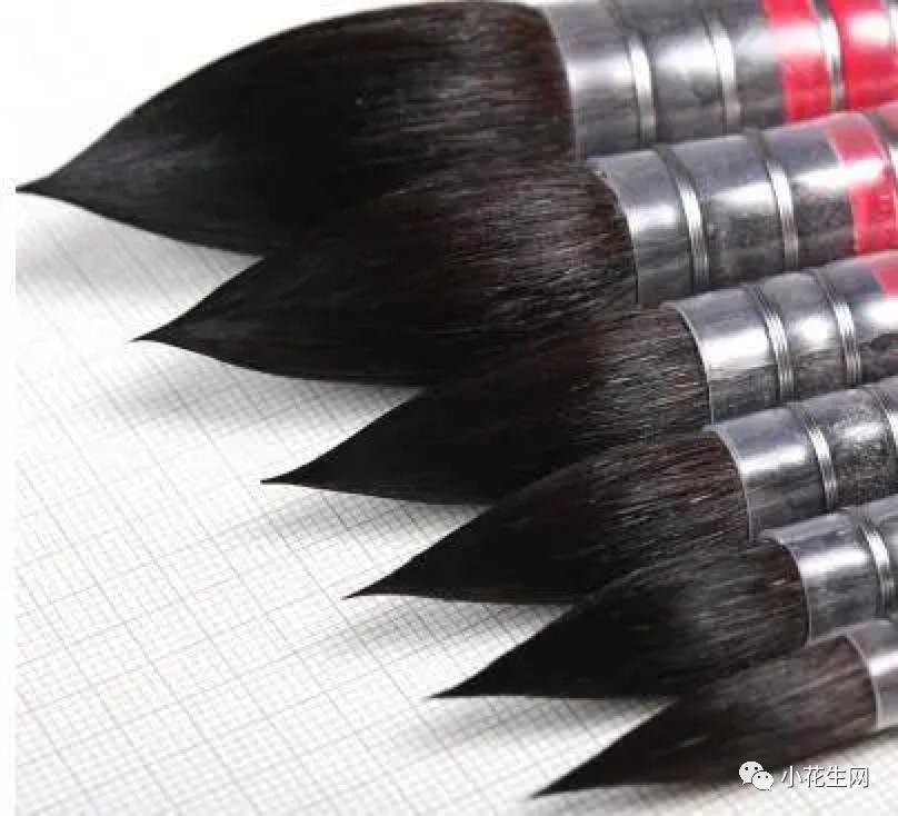 从零开始学绘画必备的画,从零开始学绘画第一步教程