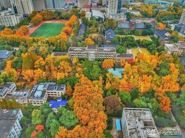 分数线451分的一本学校,c9名校高考录取要看单科分数吗