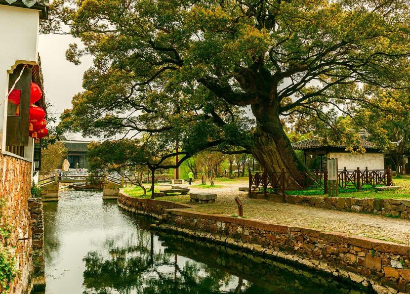 江苏西山岛上的“绝美”古村，门票50元，景色不输周庄乌镇