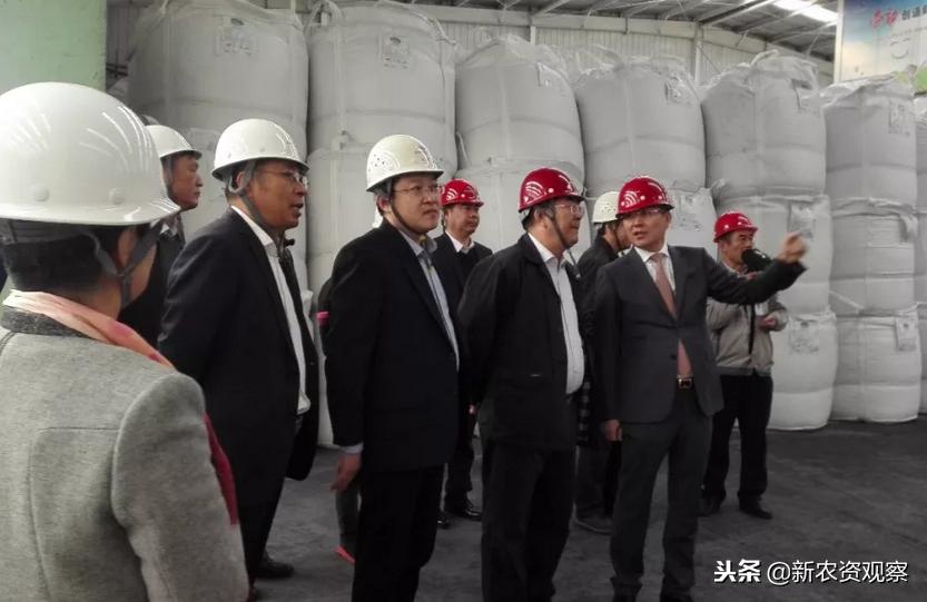 镁肥对什么元素有促进作用,镁肥的增产效果