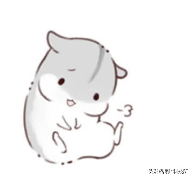 新版微信视频动态谁能看到,微信视频动态设置教程