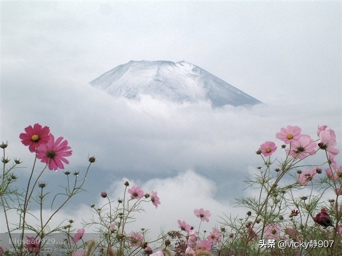 ppt设计的最高水平,ppt最高境界