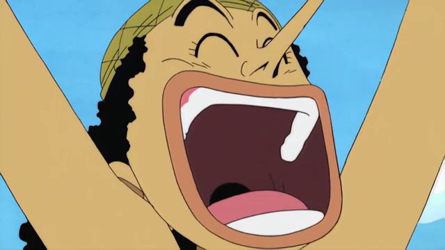 还记得海盗帽吗,草帽海贼团所有成员合照