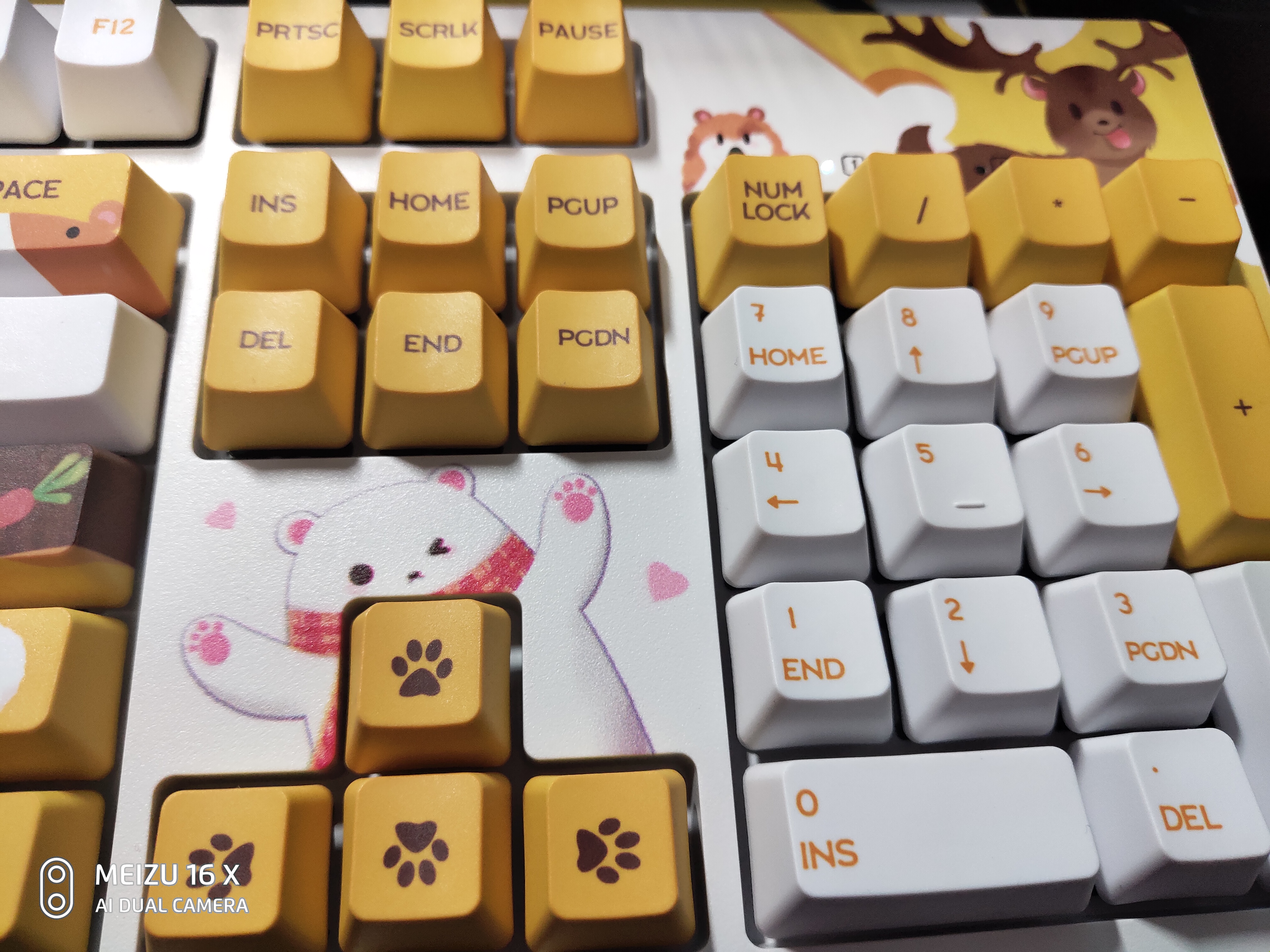 公认手感最好的机械键盘轴是什么,机械键盘樱桃轴与普通轴的区别