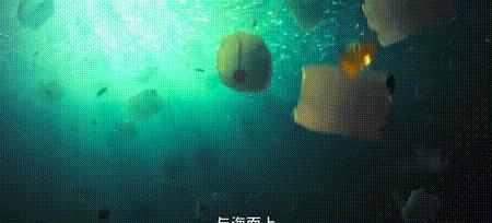 渔业危机纪录片,渔业阴谋纪录片预告