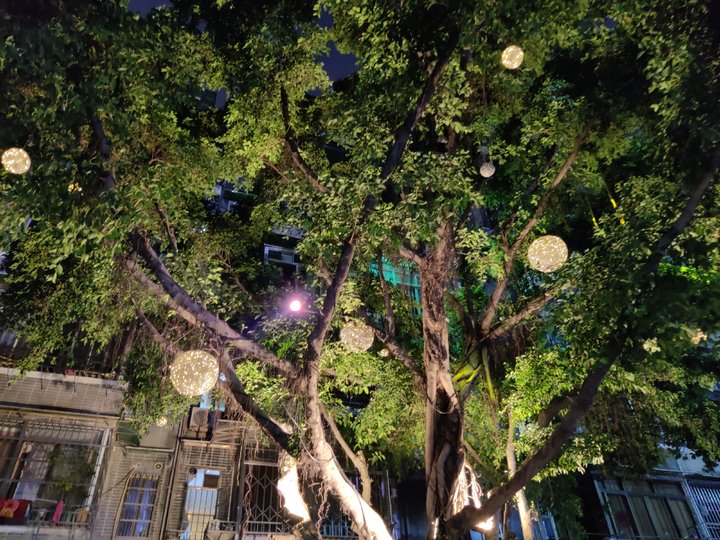 一加8评测小米,一加8测评游戏