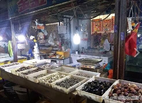 商铺从古至今演变,商铺发展史