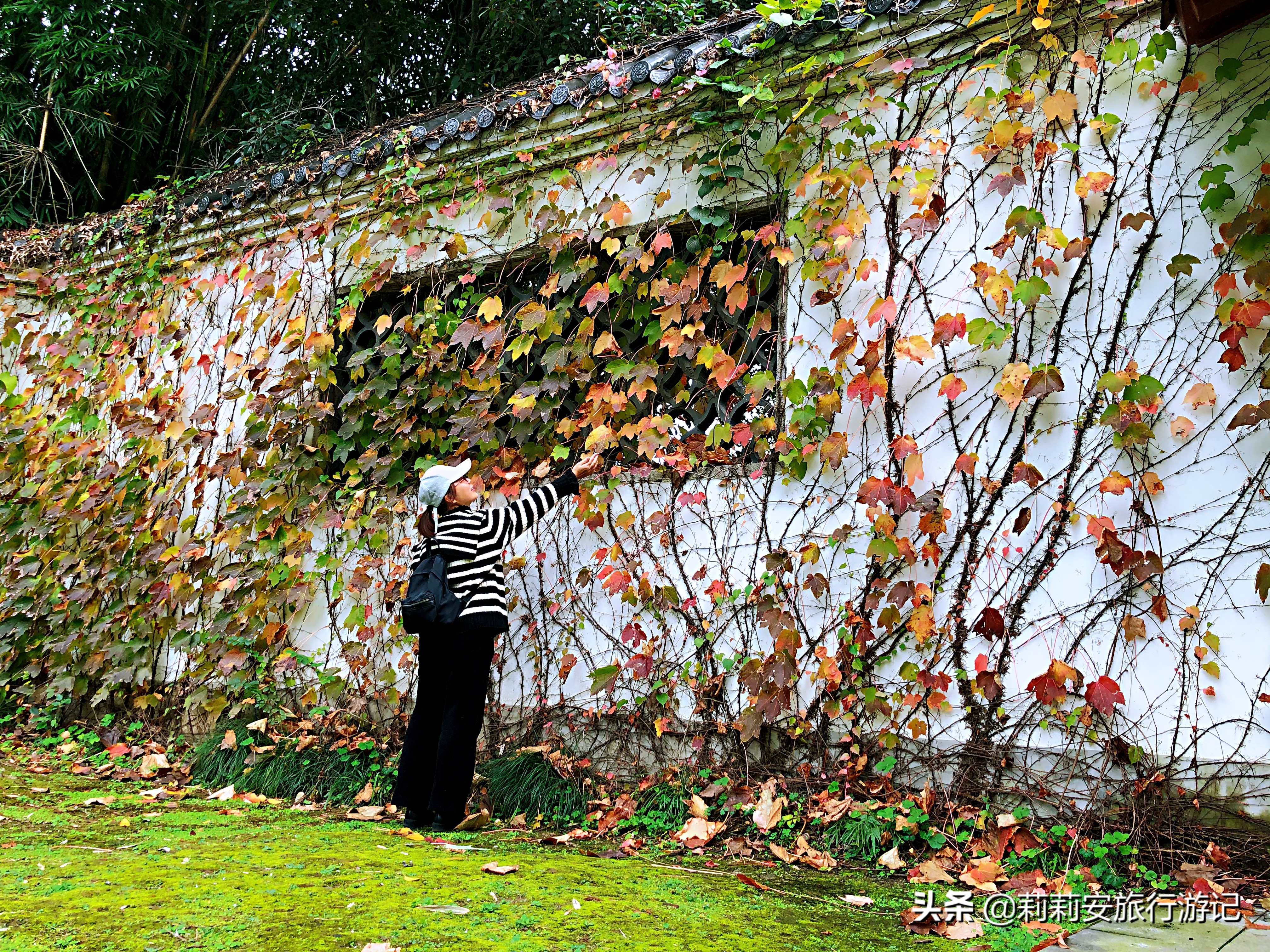 磨山楚国遗址,武汉东湖景观湖