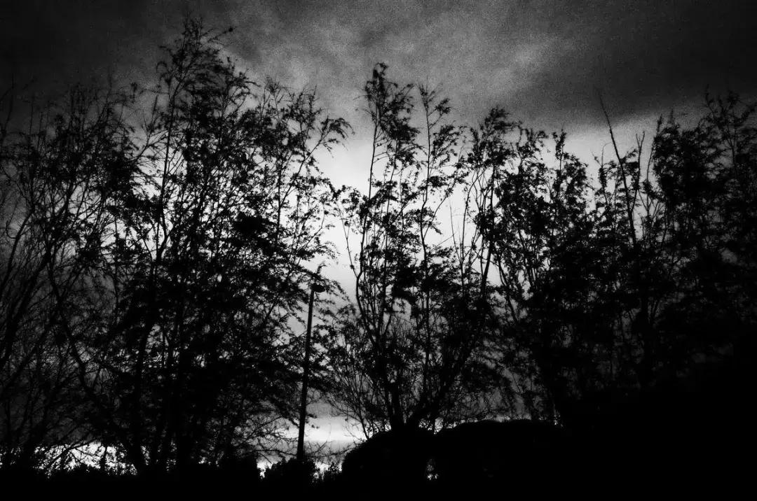 字节跳动有群面吗,字节跳动群