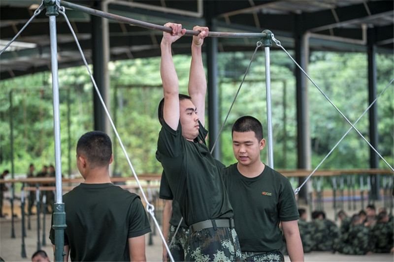 新生开坦克训练,新兵训练开训