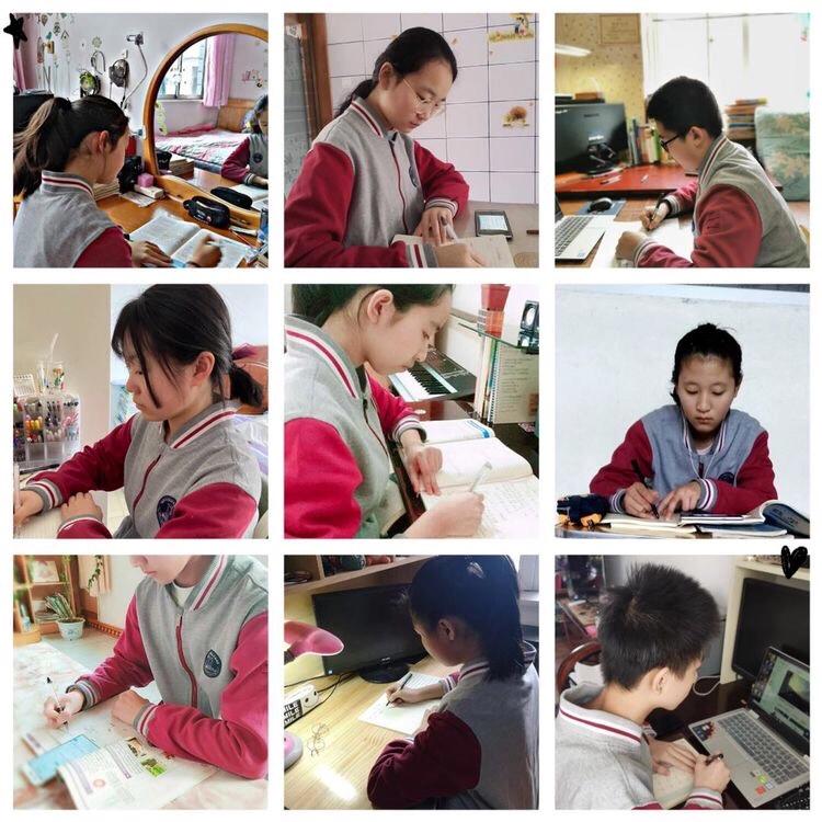 保定十七中闭营直播,保定十七中学哪天停课