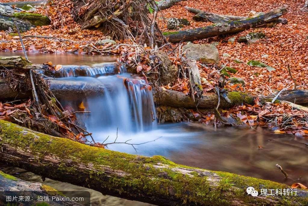 化学类专业就业前景张雪峰,化学制药专业就业前景