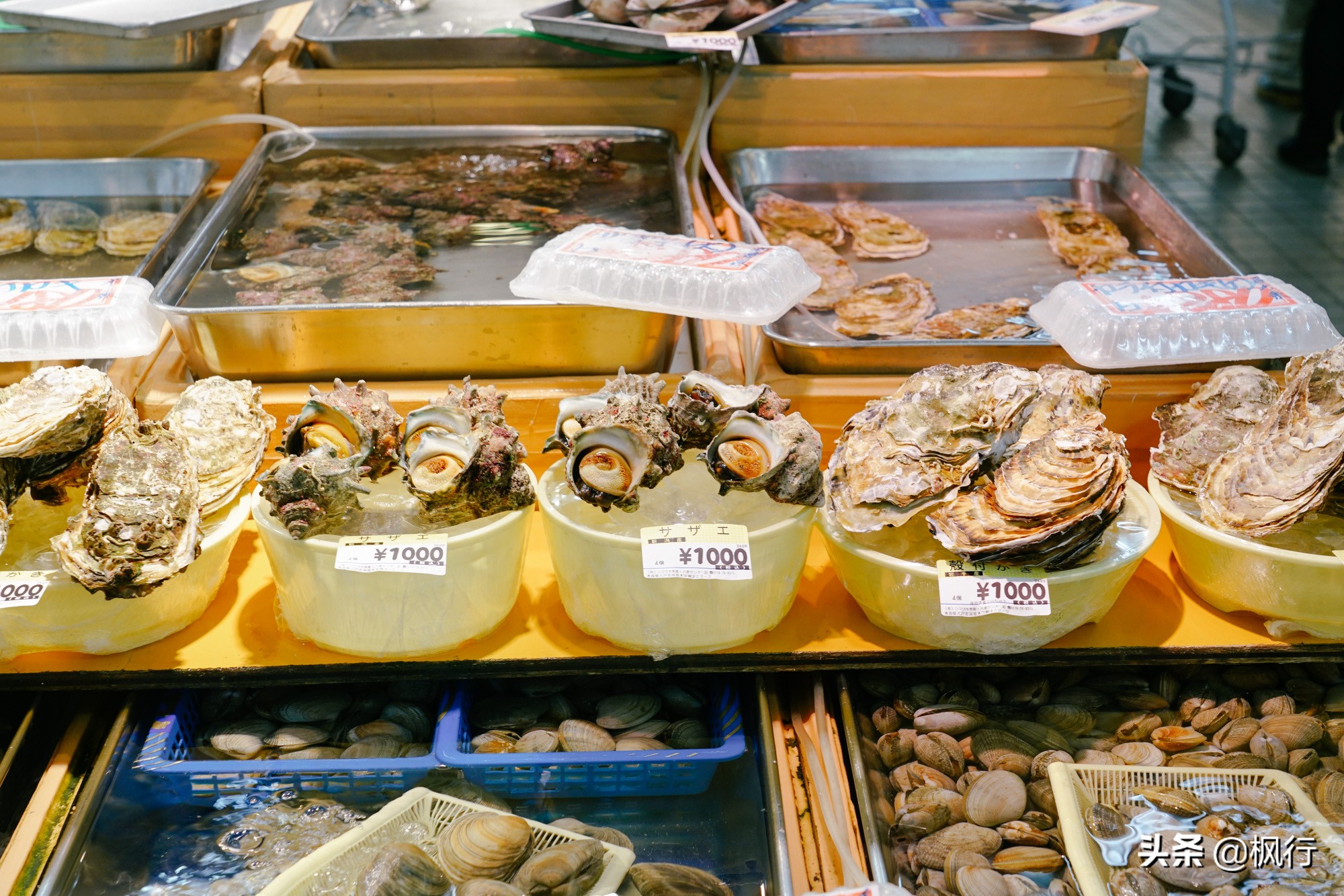 日本最正宗的海鲜市场,在日本吃海鲜的人