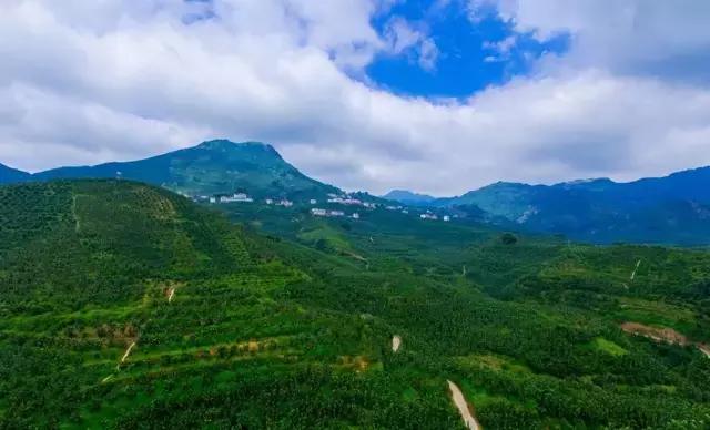 厦门有避暑的地方吗,厦门清凉避暑好去处推荐