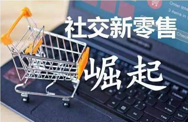 会员制社交电商平台,社交会员制电商系统解决方案