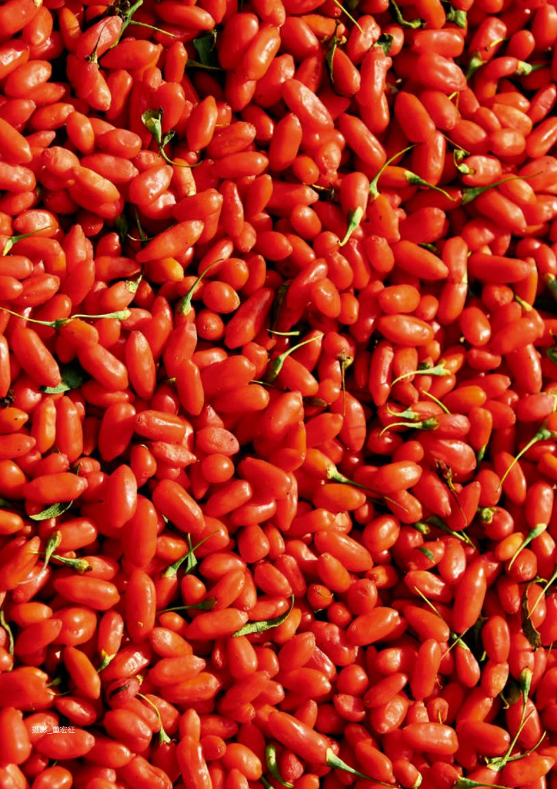 宁夏红的由来,宁夏红