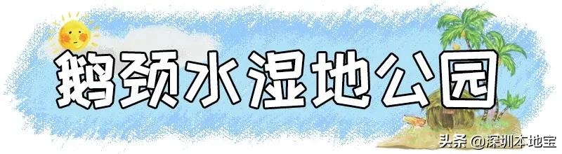 深圳完全免费的十大景点,深圳10大免费景点上集