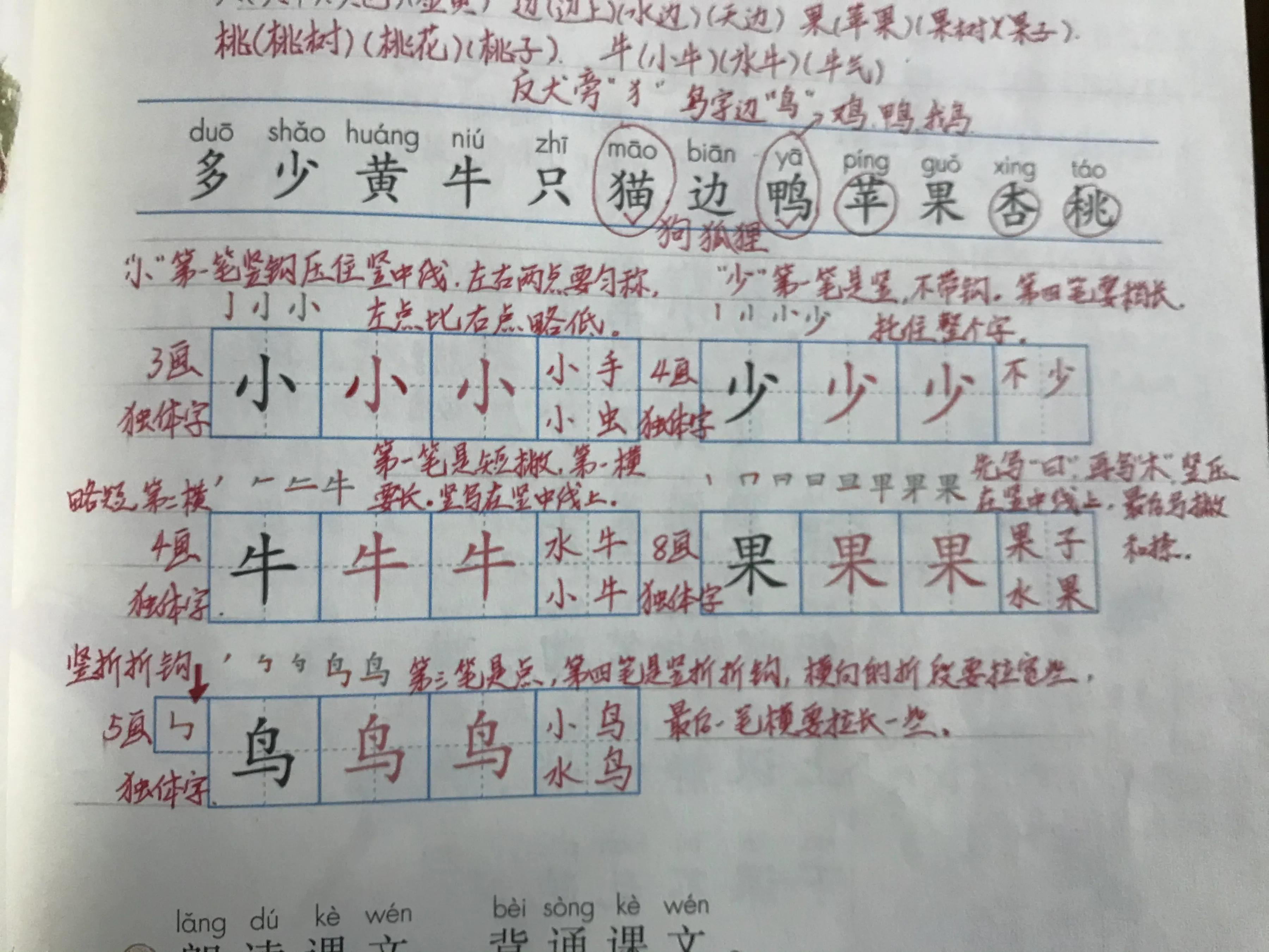 一年级语文识字量练习,一年级语文看拼音写字专项训练