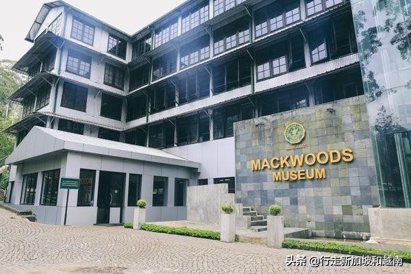 我的旅行日记:神秘的南亚岛国,印度洋上明珠的七天六晚行程