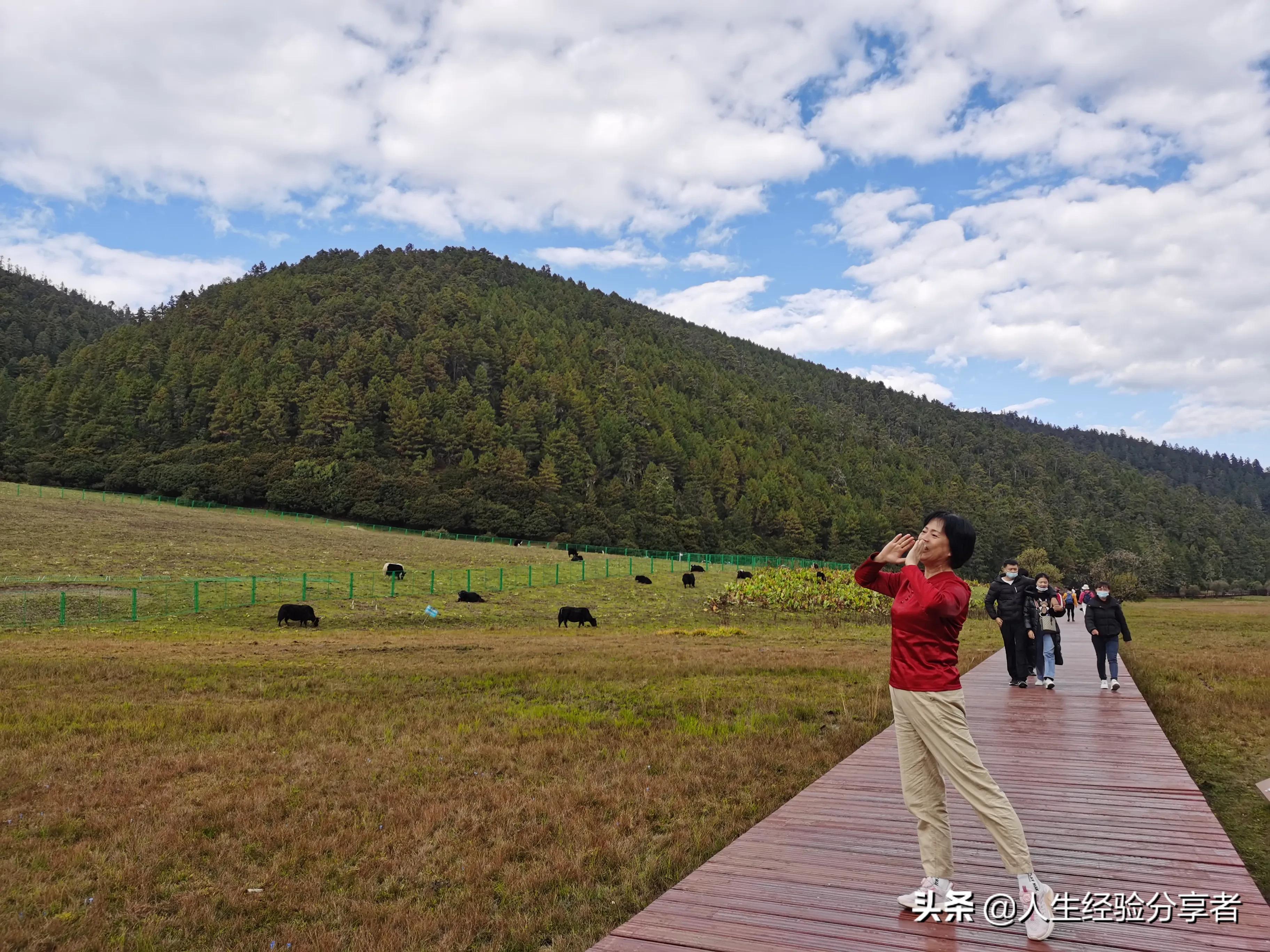 香格里拉一日游跟团游,香格里拉独克宗古城游记