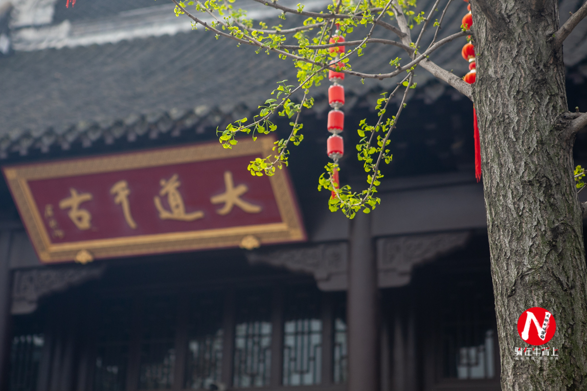 兴化三日游自驾游路线,去兴化看油菜花海攻略