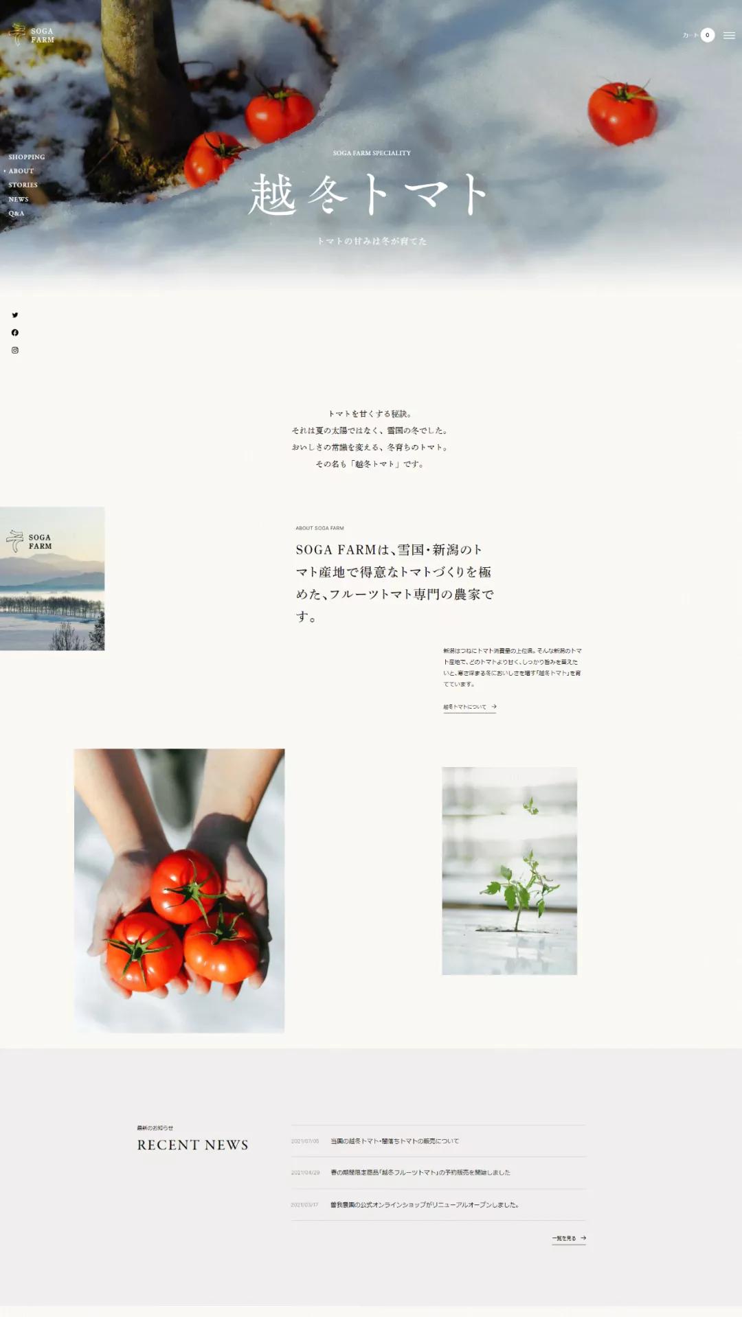 网页布局与网页配色设计,极简网页设计排版布局