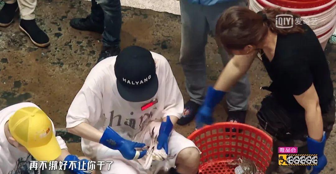 无剧本封闭式综艺,最真实无剧本的综艺