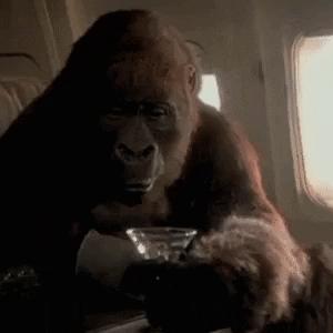 三点饮茶七点饮酒,三点饮茶7点饮酒