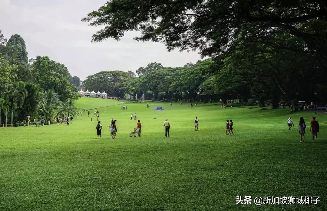 新加坡旅游攻略推荐花园,新加坡花园最新消息