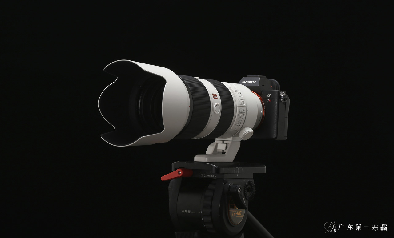 年轻人的第一台蔡司x100,索尼135gm和70-200gm画质哪个好