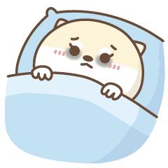 这款去黑眼圈的神器，我帮你拔草了！