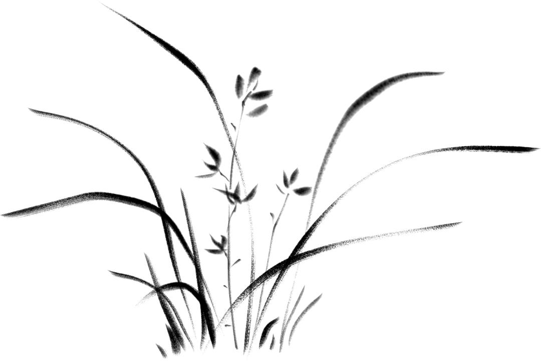 办税流程完整版,办税的教程