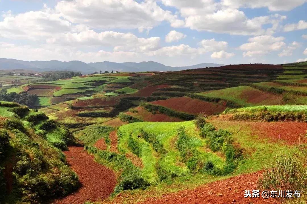云南东川上帝打翻的调色板,东川红土地主要景点