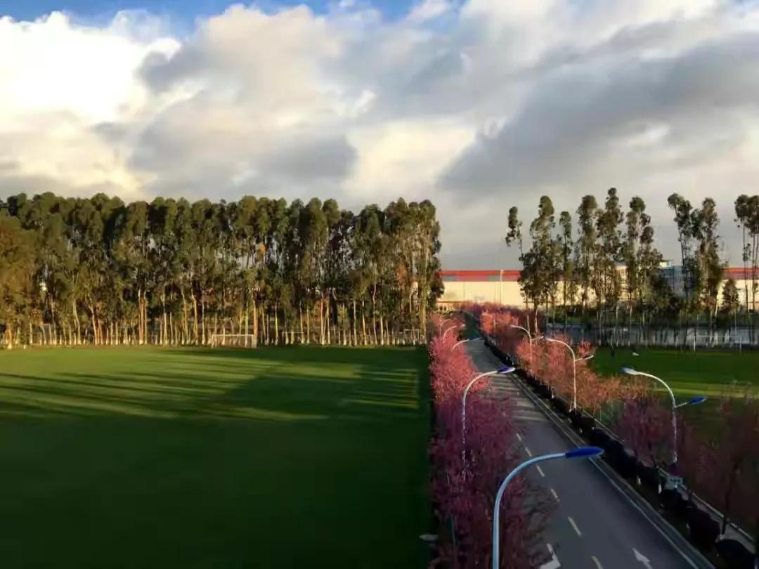 中国女足女超联赛赛程,2023年女足能闯进决赛吗