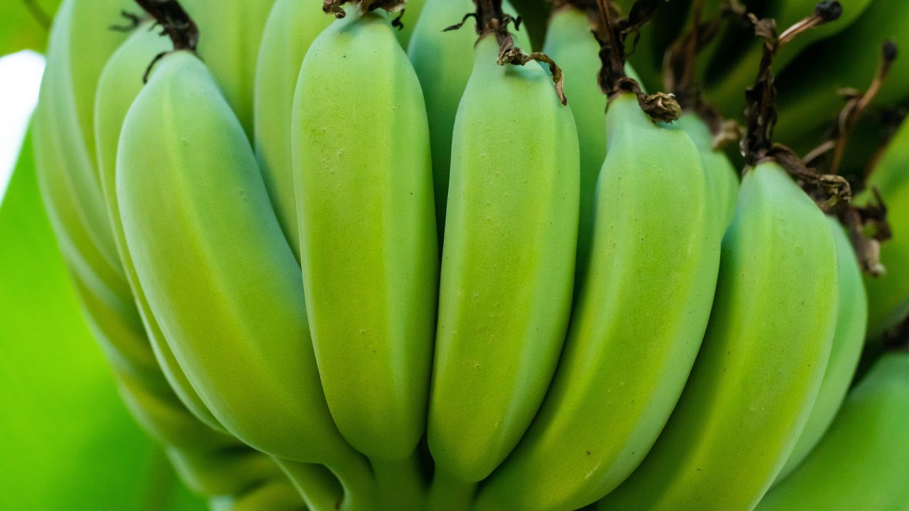 老公中毒,老公食物中毒