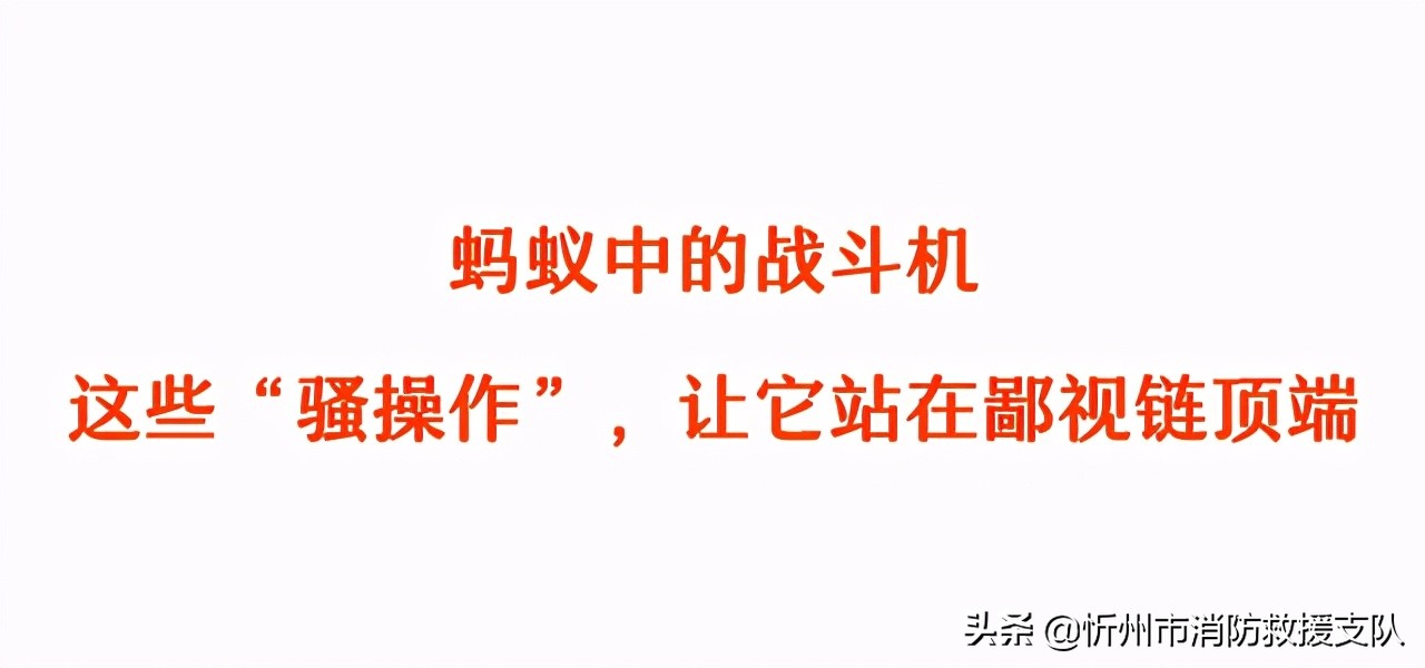 食人蚁袭击人类,一口气看完食人蚁袭击人类