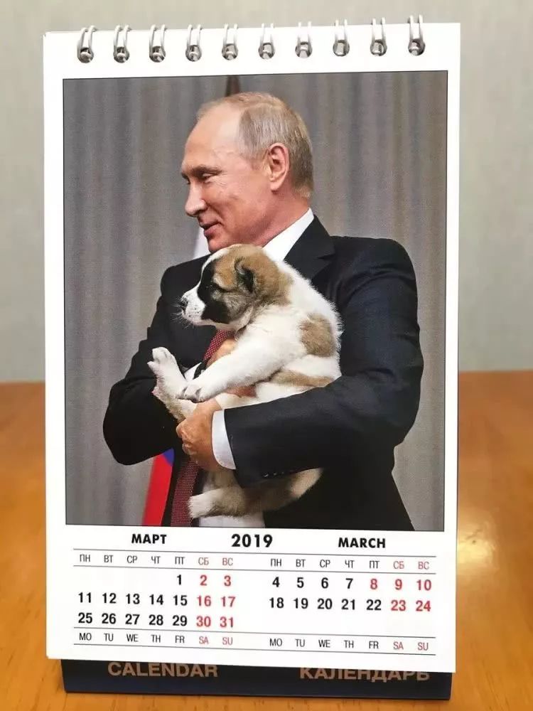 普京的铁腕反腐,2019年度普京写真日历