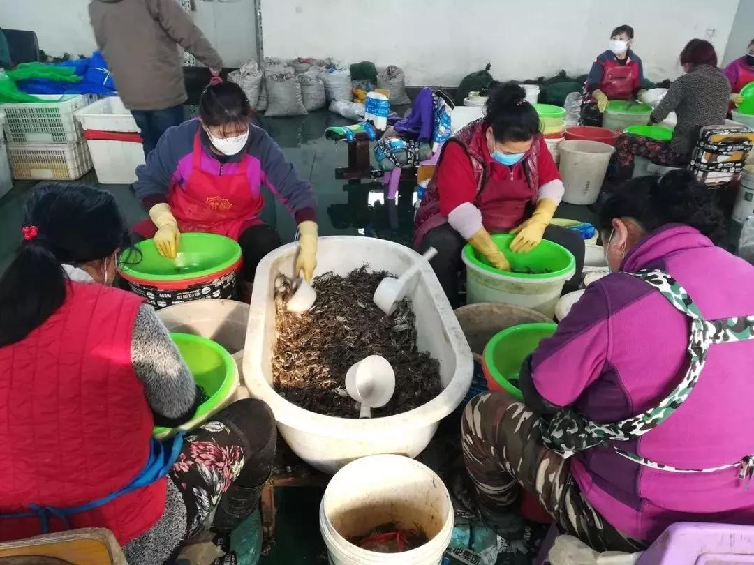 水产行业政策和发展趋势,水产行业的发展及市场行情