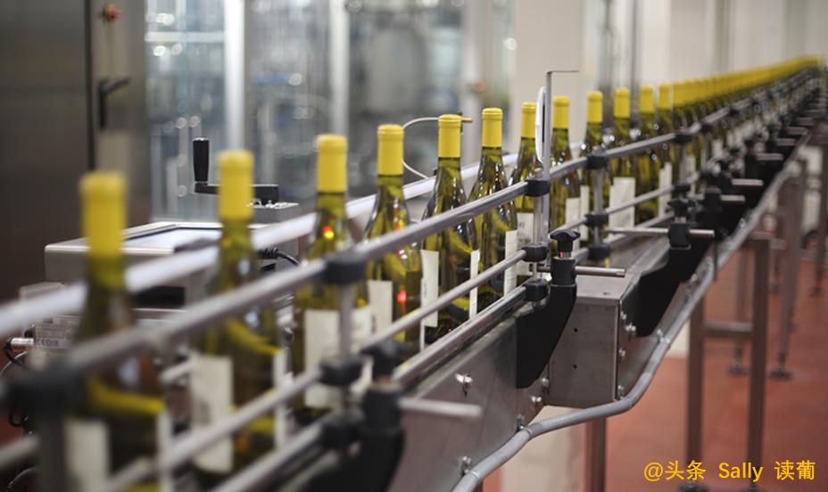 红酒在酒庄经历了什么？争议如此大？朱广权式幽默告诉你