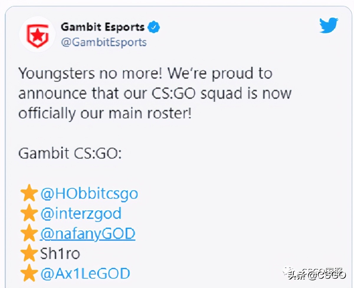 gambit青训队,闪闪红星队